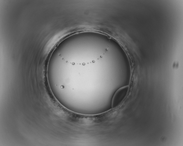 X0000111450103200907131338