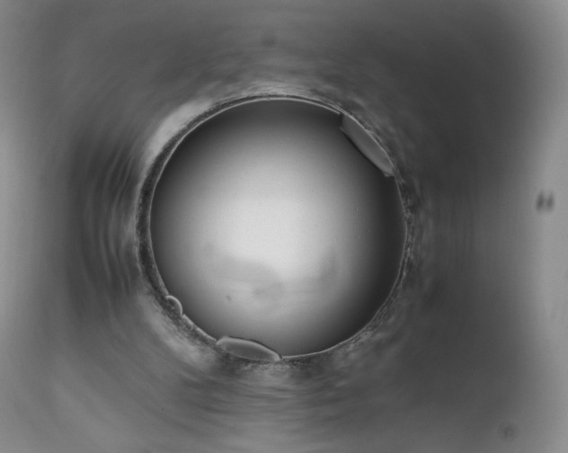 X0000111450104200907131338