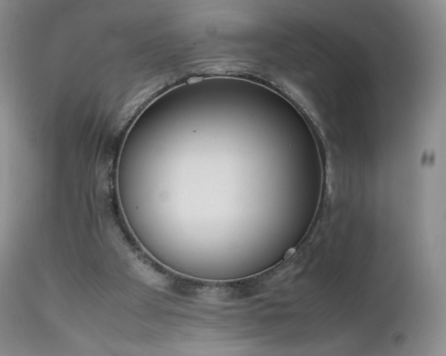 X0000111450105200907131338