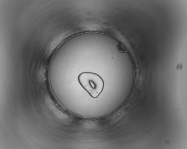 X0000111450106200907131338