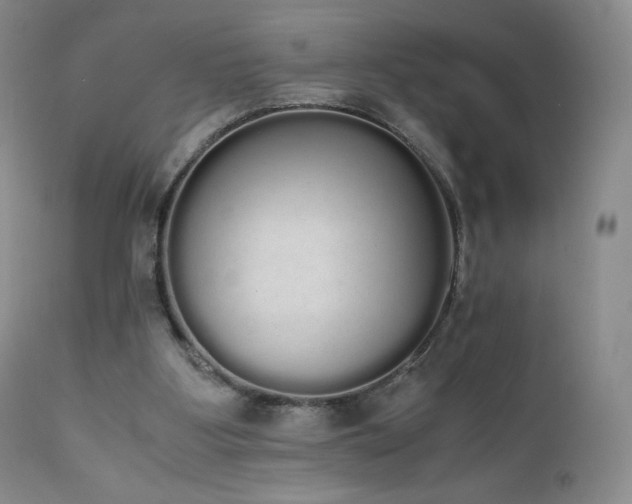 X0000111450107200907131338