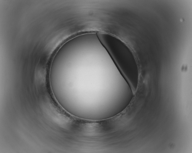 X0000111450108200907131338