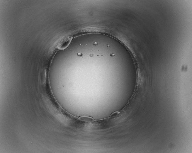 X0000111450109200907131338