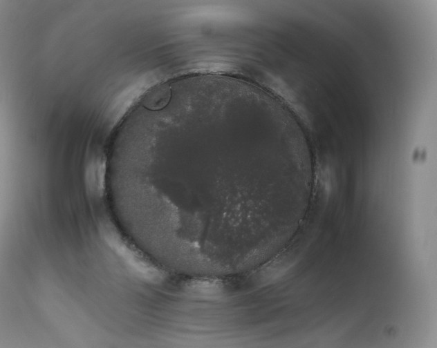 X0000111450110200907131338