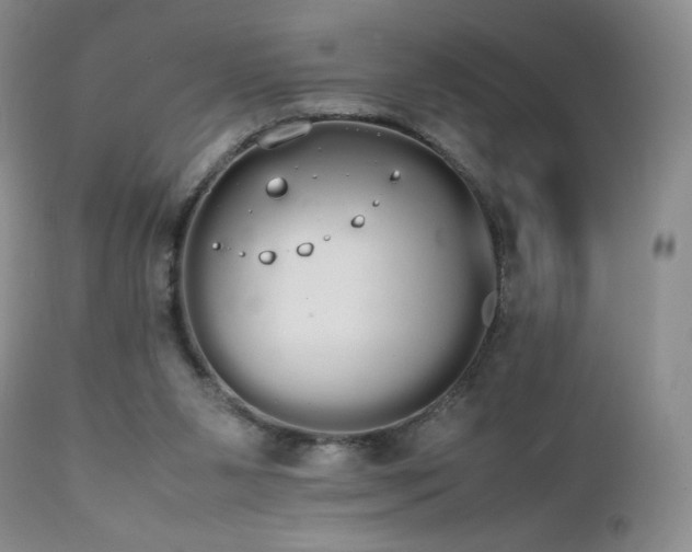 X0000111450111200907131338