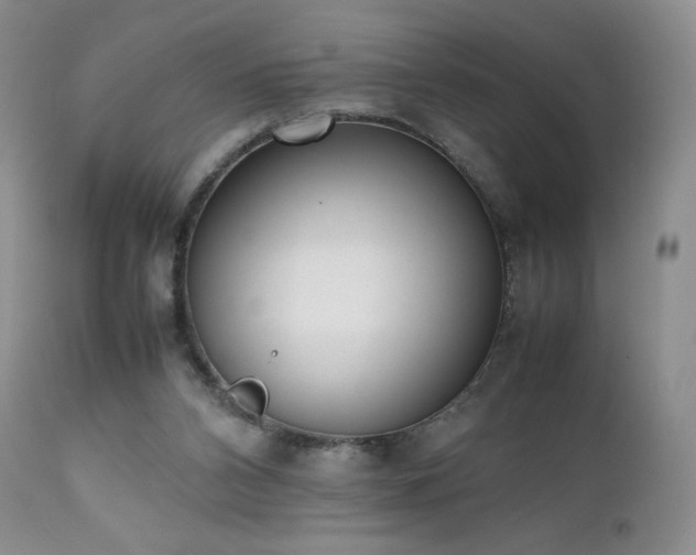 X0000111450112200907131338