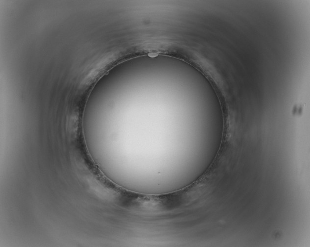 X0000111450113200907131338
