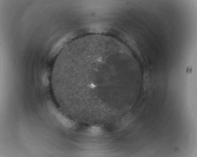 X0000111450114200907131338