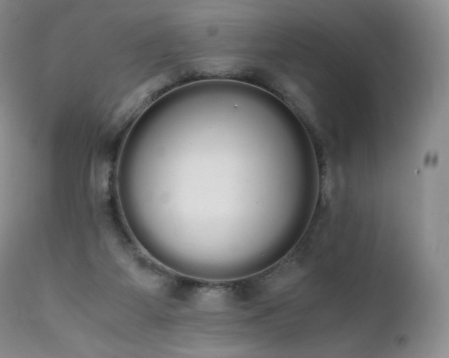 X0000111450115200907131338