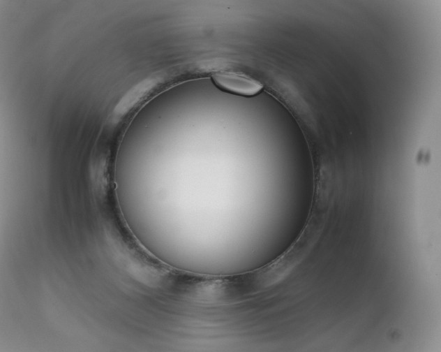 X0000111450116200907131338