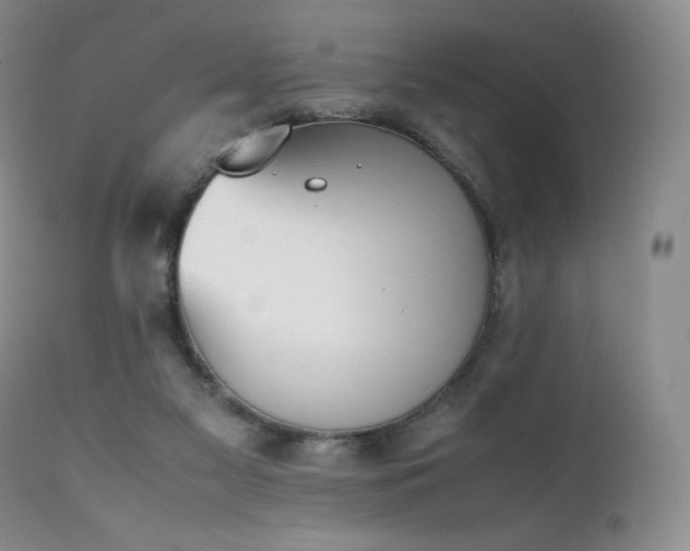 X0000111450117200907131338