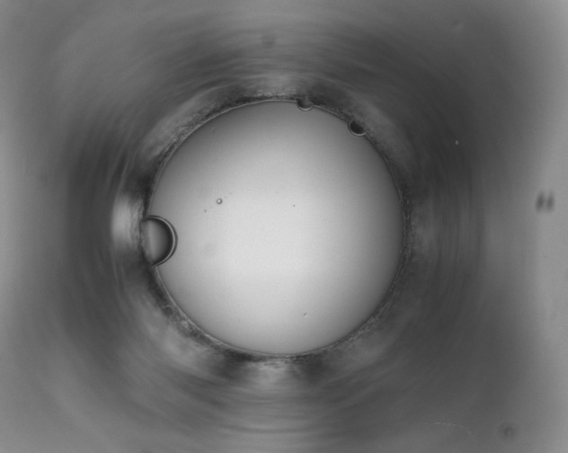 X0000111450118200907131338