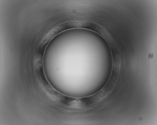 X0000111450119200907131338