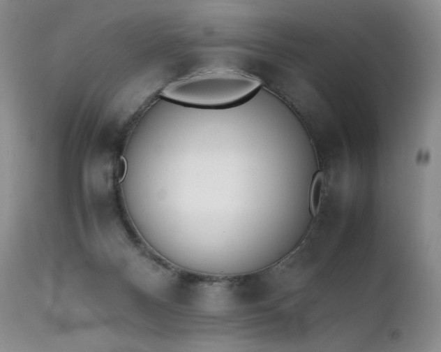 X0000111450120200907131338