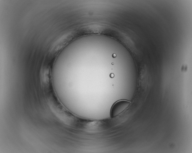 X0000111450122200907131338