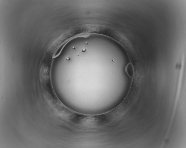 X0000111450123200907131338