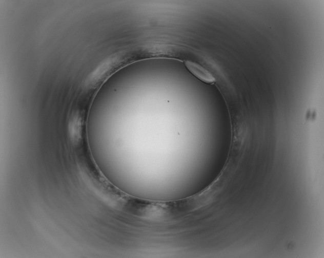 X0000111450124200907131338