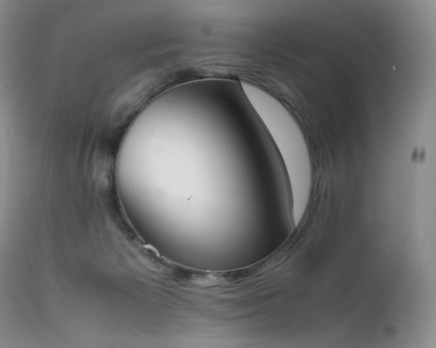X0000111450125200907131338