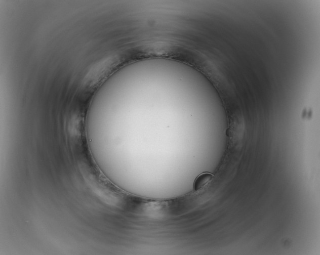 X0000111450126200907131338