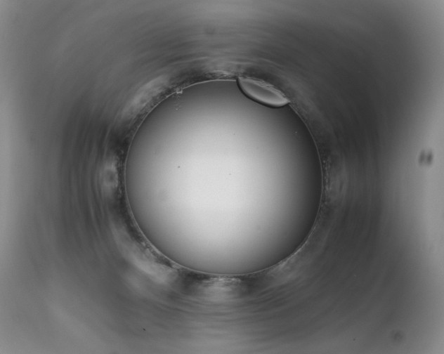 X0000111450128200907131338