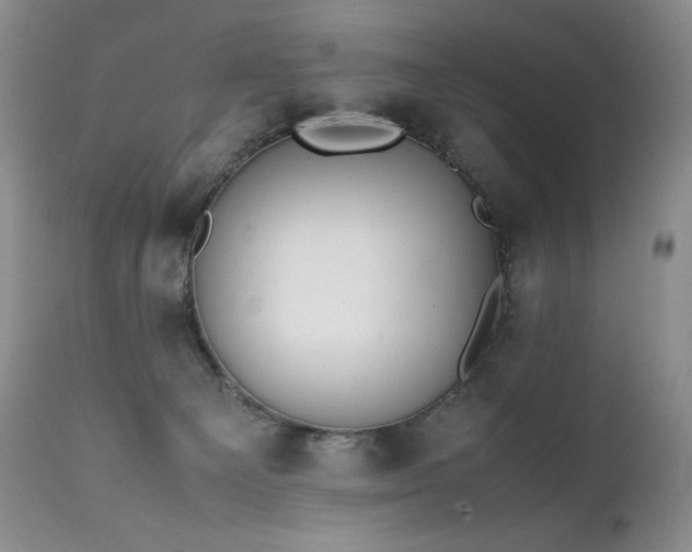 X0000111450129200907131338