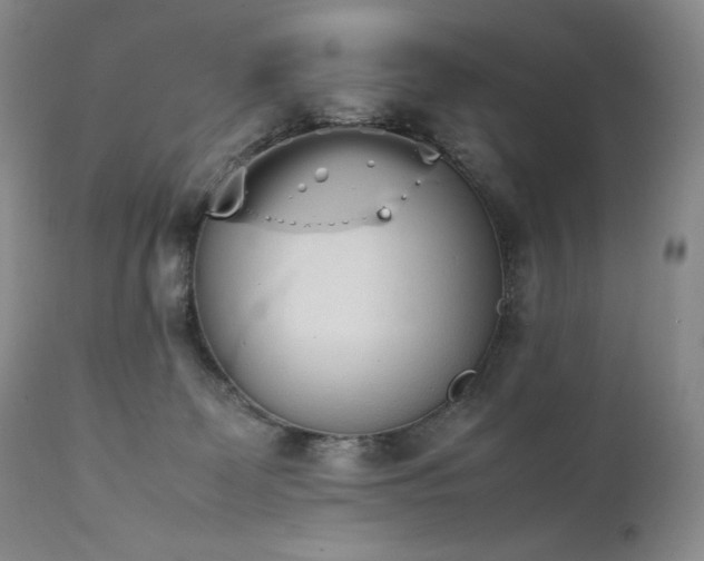 X0000111450131200907131338