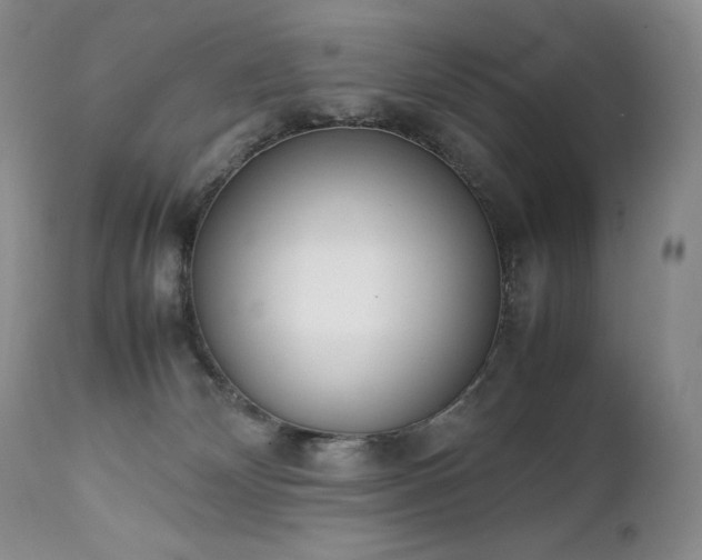 X0000111450132200907131338