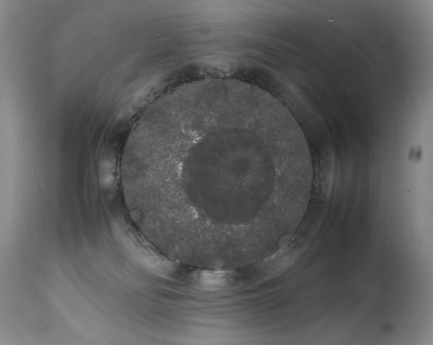 X0000111450134200907131338