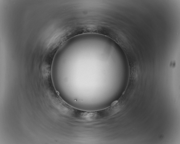 X0000111450135200907131338