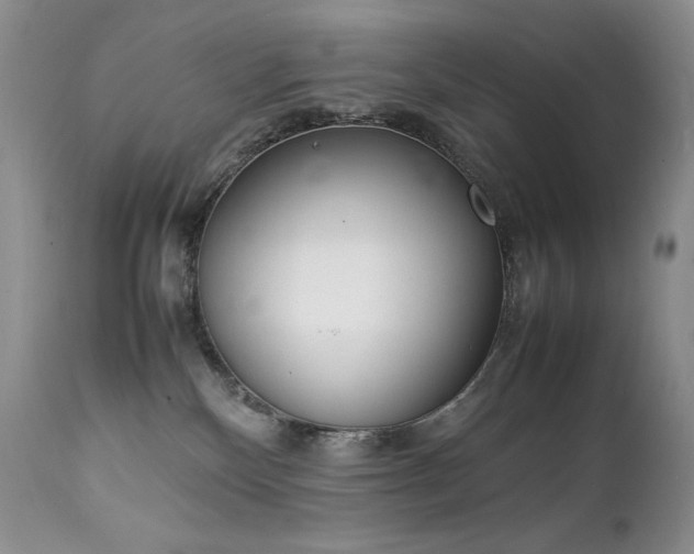 X0000111450136200907131338