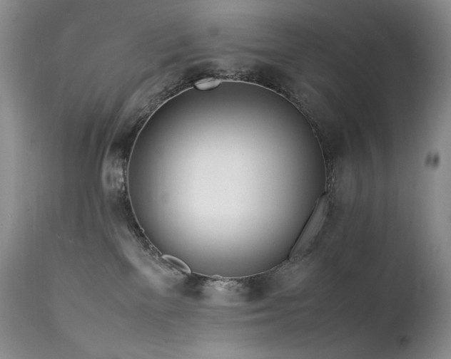 X0000111450137200907131338