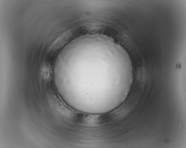 X0000111450138200907131338