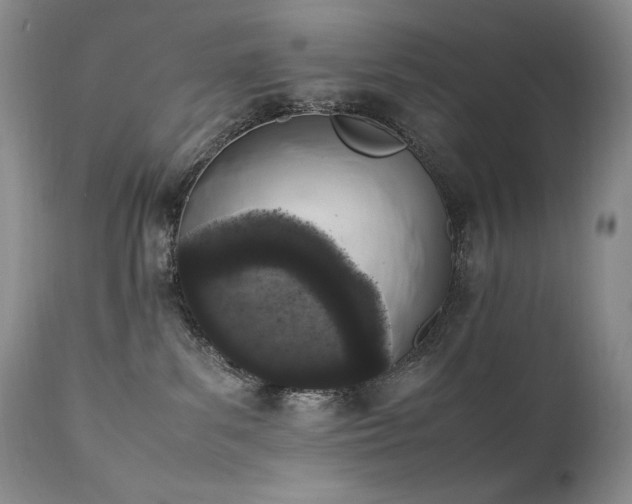 X0000111450139200907131338