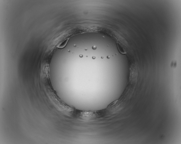 X0000111450141200907131338