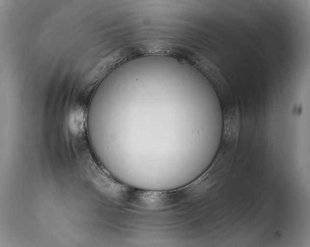 X0000111450142200907131338