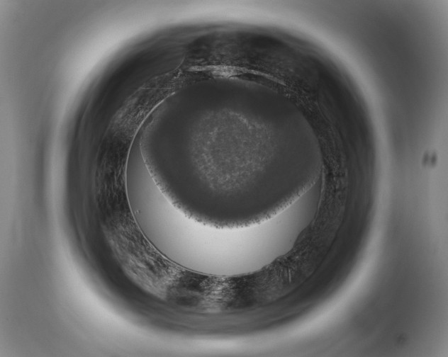 X0000111450143200907131338