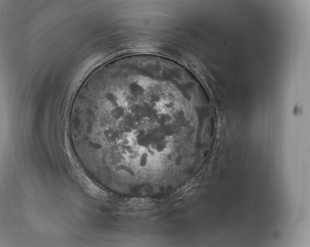 X0000111450145200907131337