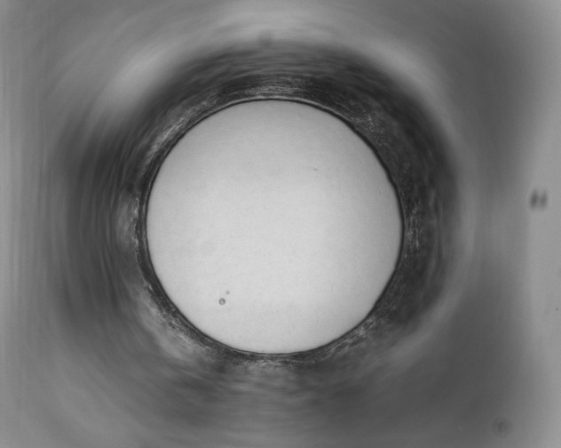 X0000111450146200907131337