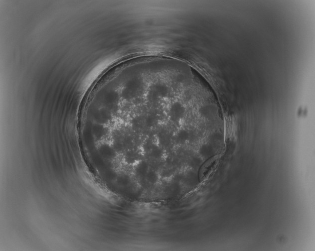 X0000111450147200907131337