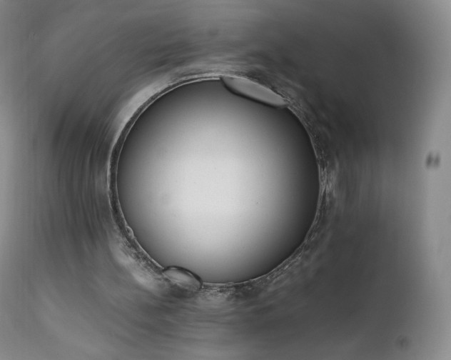 X0000111450148200907131337