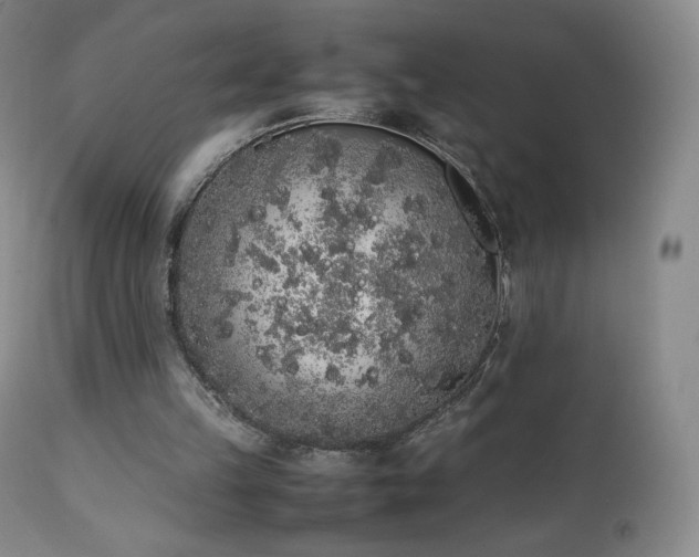 X0000111450149200907131337