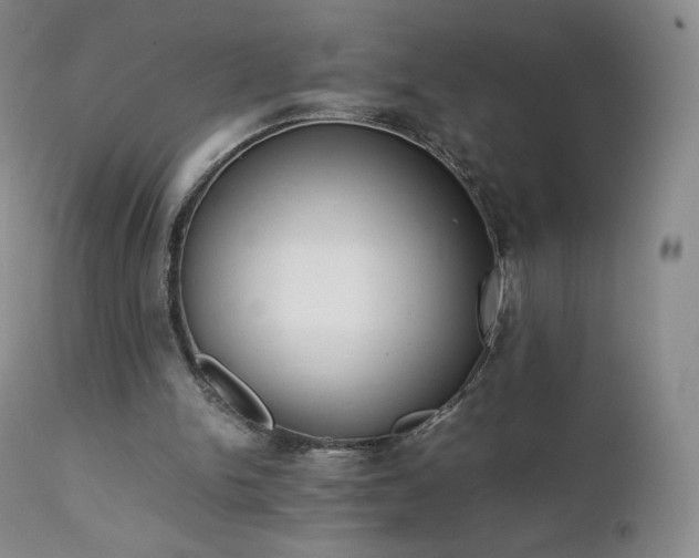 X0000111450150200907131337