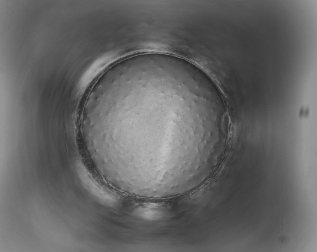 X0000111450151200907131337