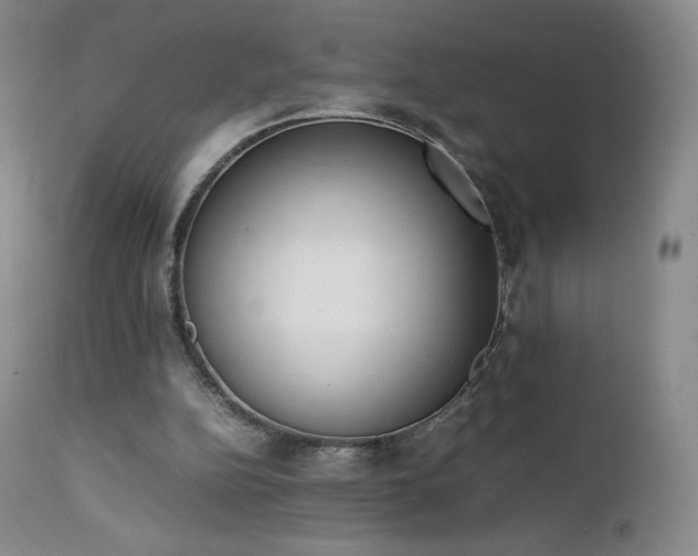 X0000111450152200907131337