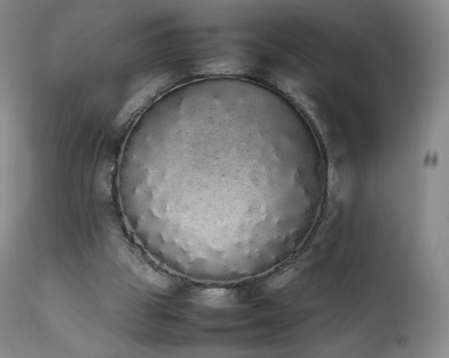 X0000111450153200907131337
