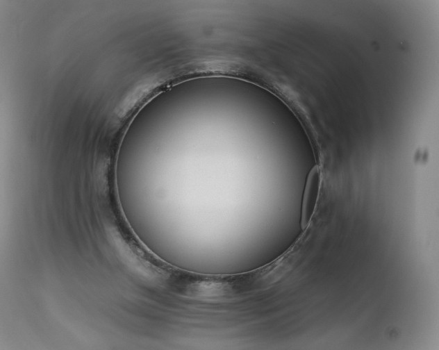 X0000111450154200907131337