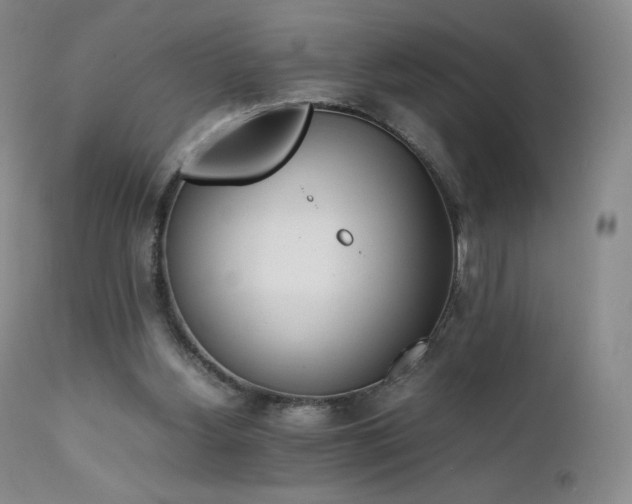 X0000111450156200907131337