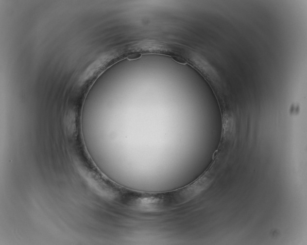 X0000111450158200907131337