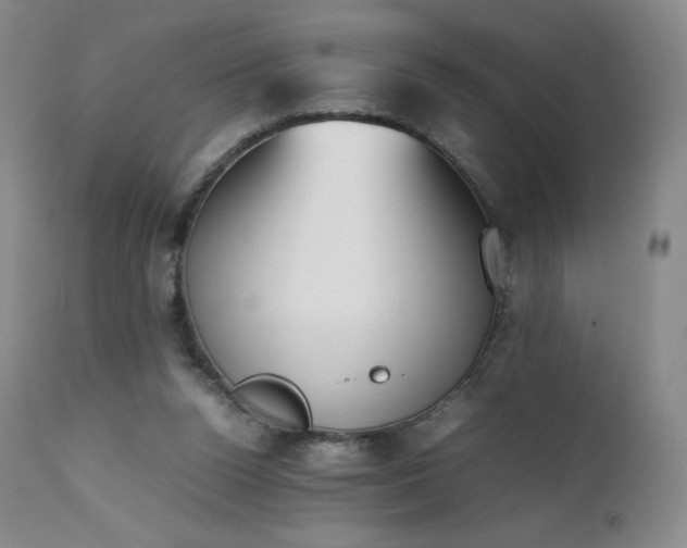 X0000111450160200907131337