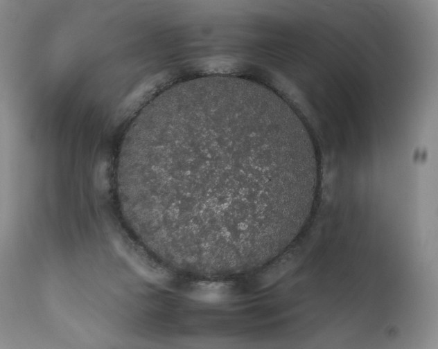 X0000111450161200907131337